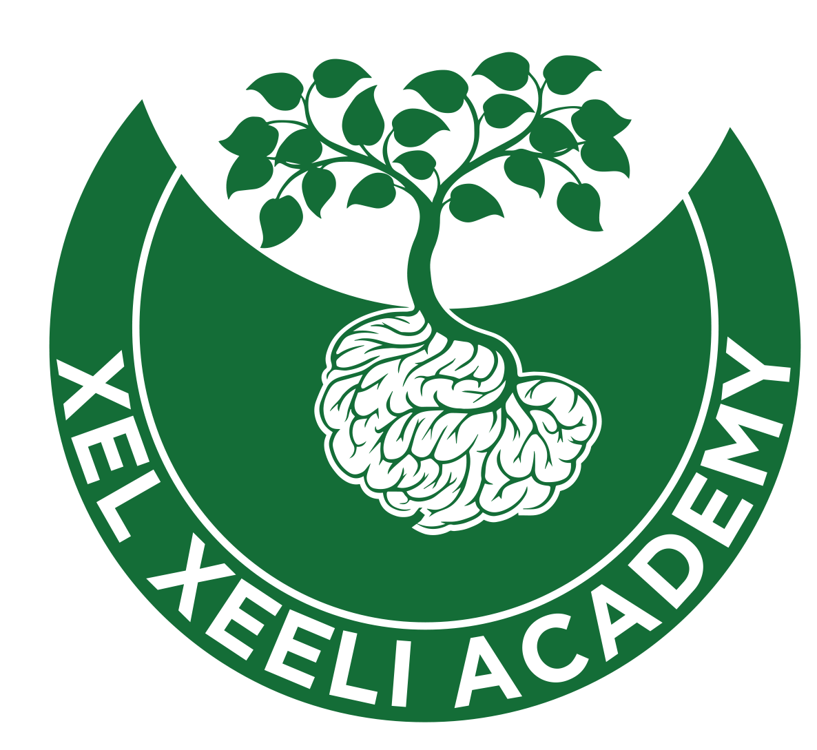 Xel-Xeeli Academy